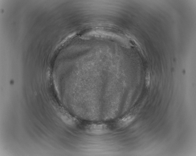 X0000081280314200701251634