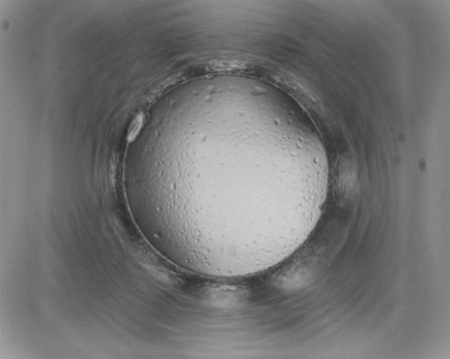 X0000081280315200701251634