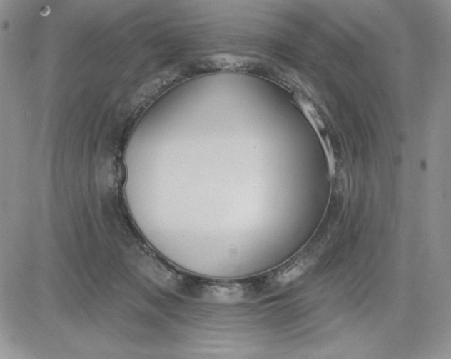 X0000081280317200701251634