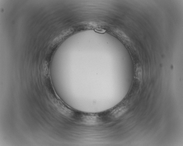 X0000081280318200701251634