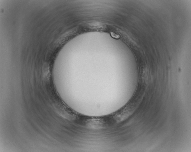 X0000081280320200701251634