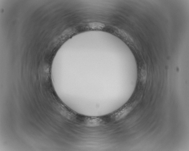 X0000081280321200701251634