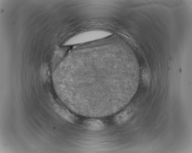 X0000081280322200701251634