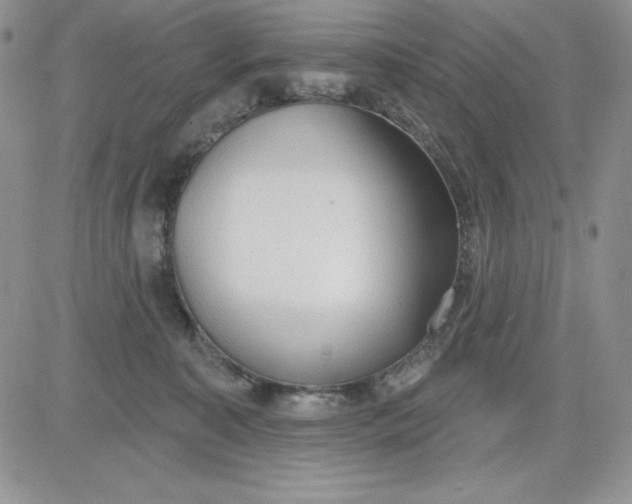 X0000081280323200701251634