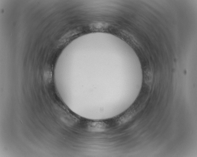 X0000081280324200701251634