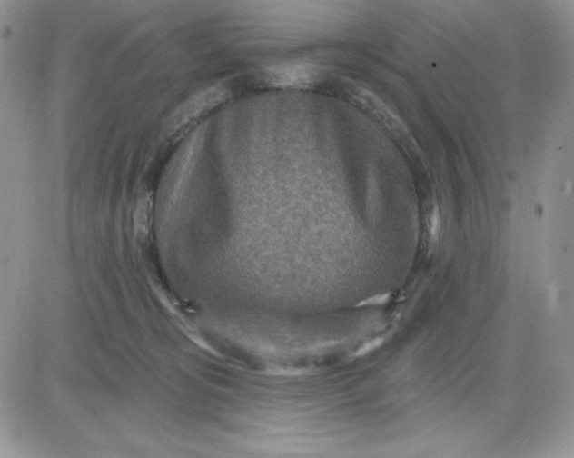 X0000081280325200701251634