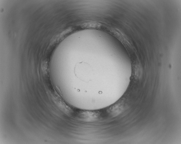 X0000081280326200701251634