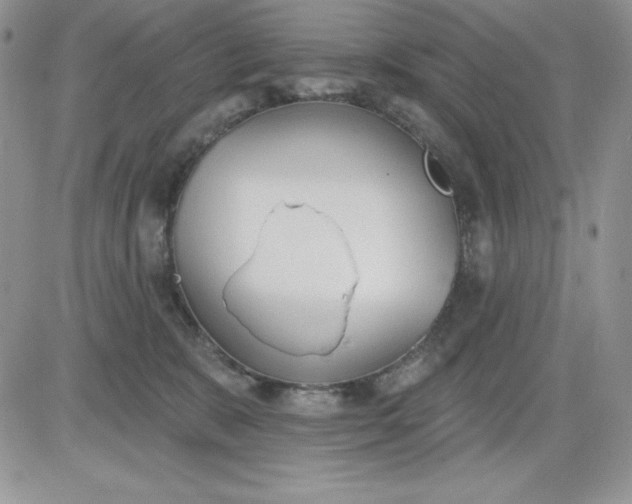 X0000081280327200701251634