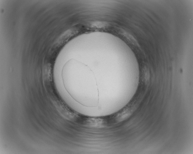 X0000081280328200701251634