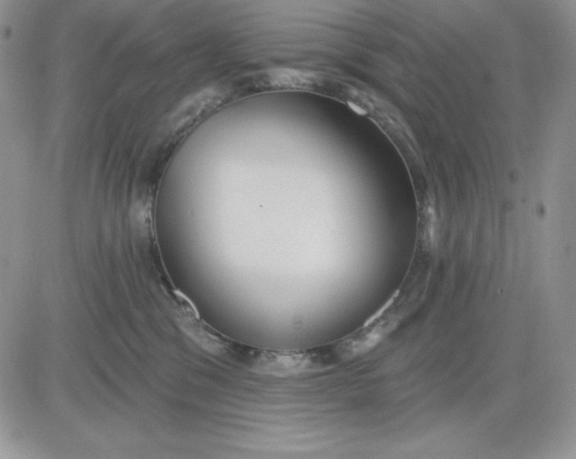 X0000081280329200701251634