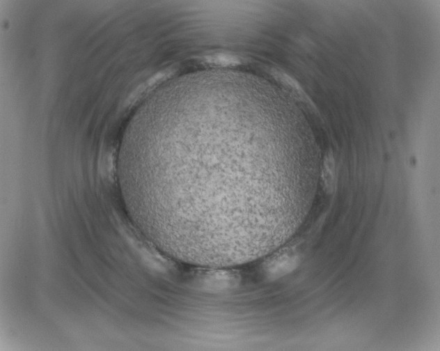 X0000081280330200701251634