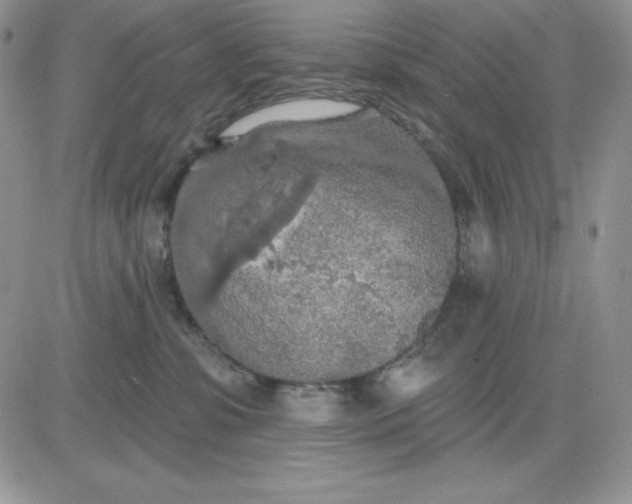 X0000081280331200701251634