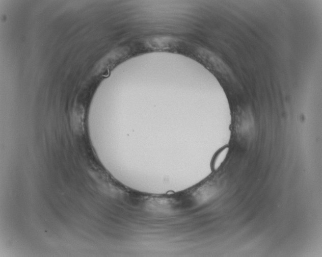 X0000081280332200701251634