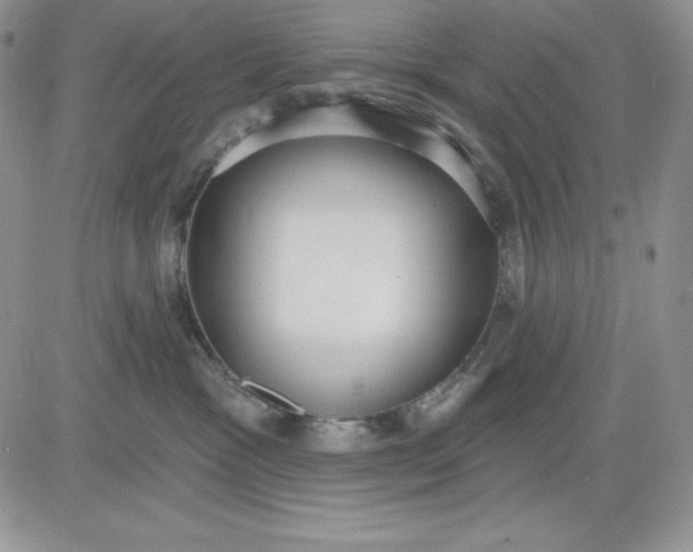 X0000081280333200701251634