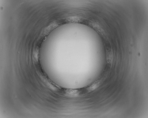 X0000081280334200701251634