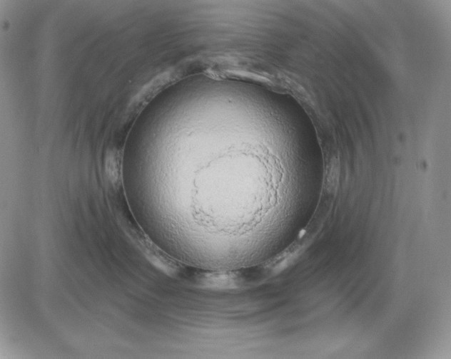 X0000081280335200701251634