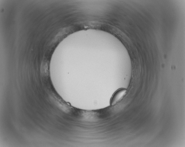 X0000081280336200701251634