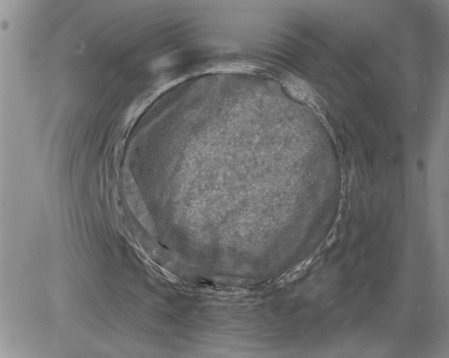 X0000081280337200701251633