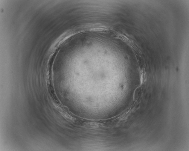 X0000081280339200701251633