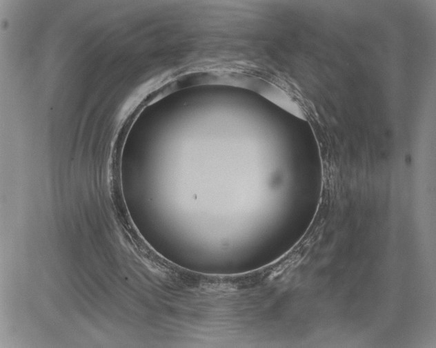 X0000081280340200701251633