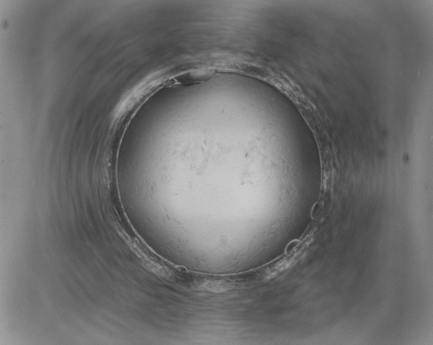 X0000081280341200701251633