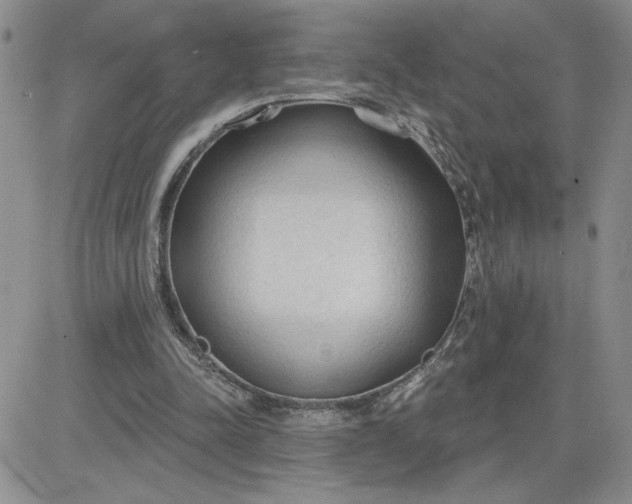 X0000081280342200701251633