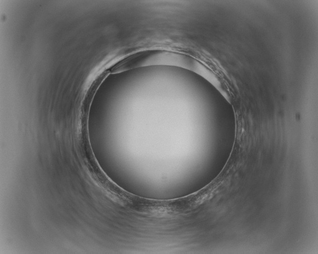 X0000081280344200701251633