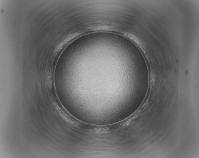 X0000081280345200701251633