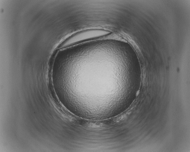 X0000081280346200701251633