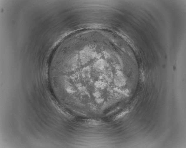 X0000081280347200701251633