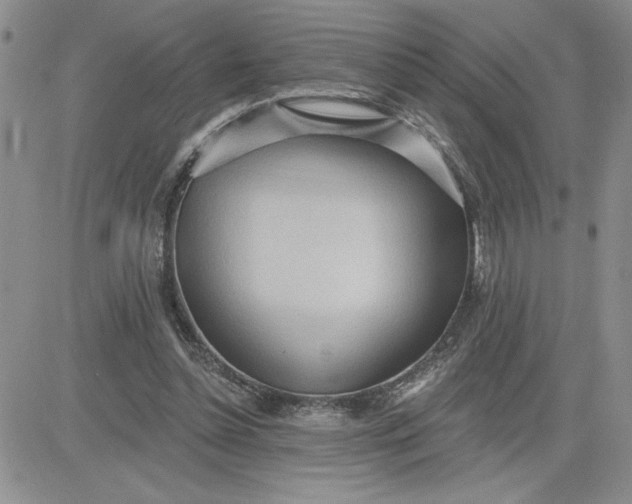 X0000081280348200701251633