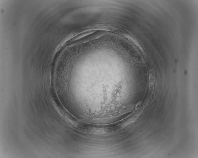 X0000081280349200701251633