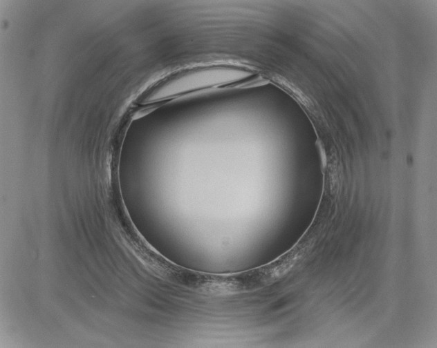 X0000081280350200701251633