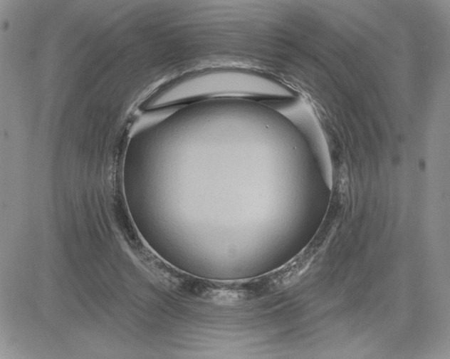 X0000081280352200701251633