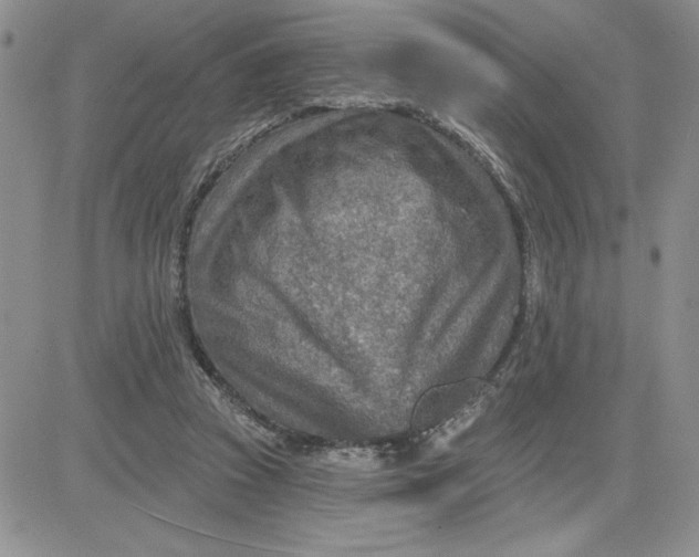 X0000081280353200701251633