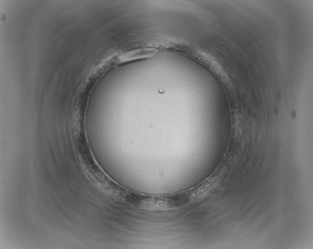 X0000081280354200701251633