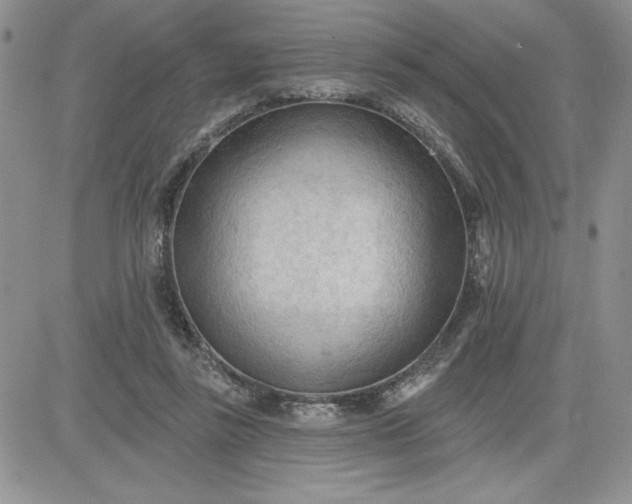 X0000081280355200701251633