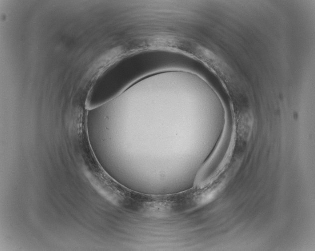 X0000081280356200701251633