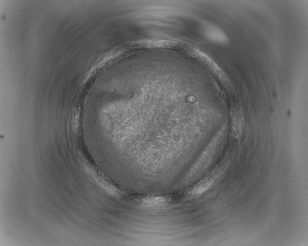 X0000081280357200701251633