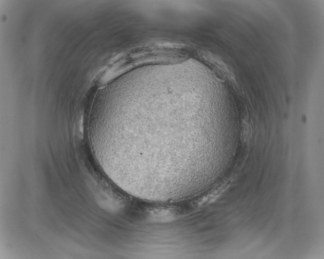 X0000081280358200701251634