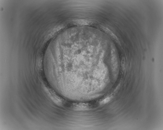 X0000081280359200701251634