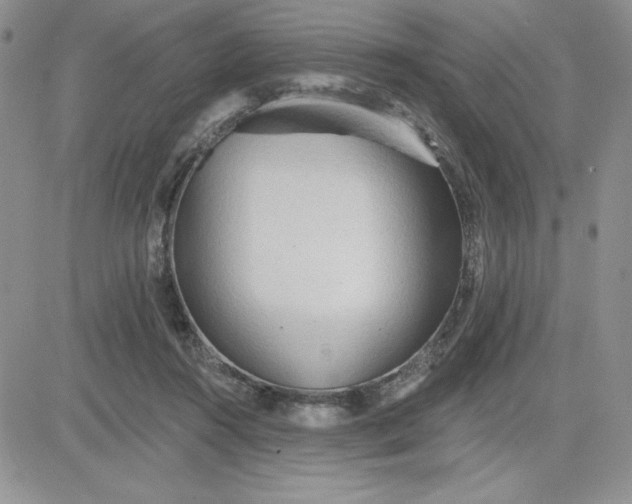 X0000081280360200701251634