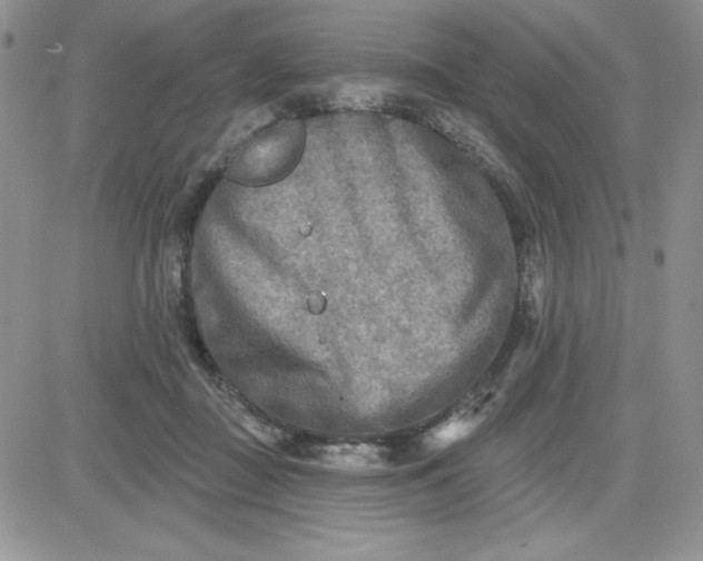 X0000081280363200701251634