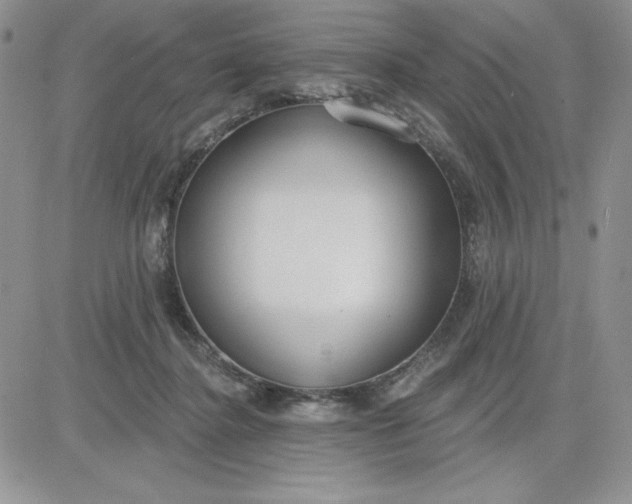 X0000081280364200701251634