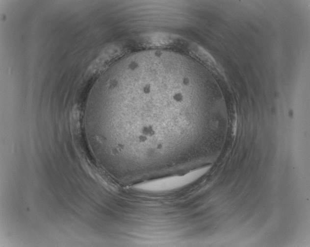 X0000081280366200701251634