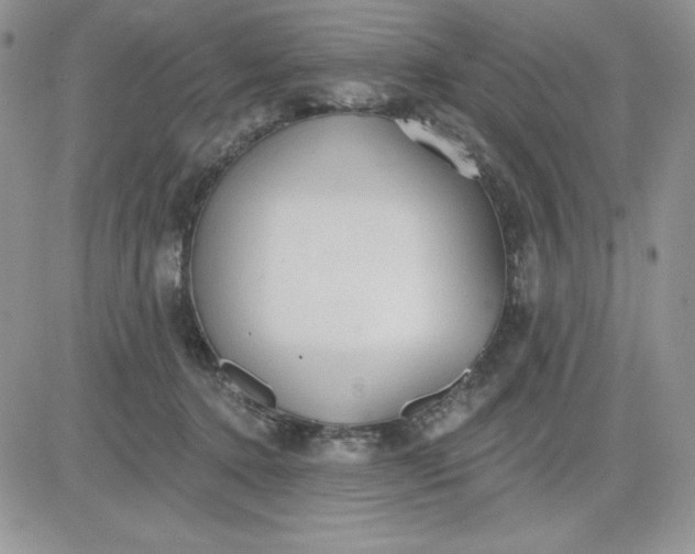 X0000081280368200701251634