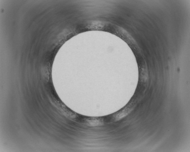 X0000081280370200701251634