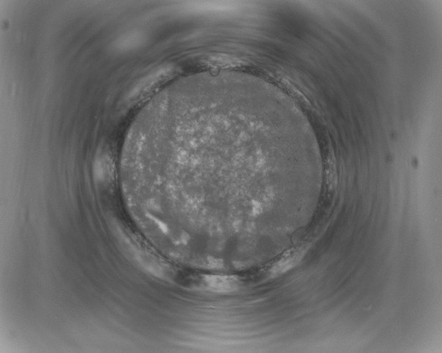 X0000081280371200701251634