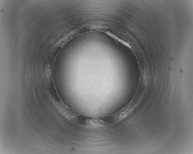 X0000081280372200701251634