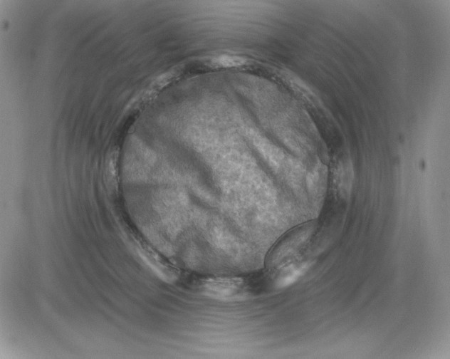 X0000081280373200701251634